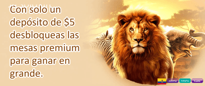 Torneo VIP Ecuador promotion